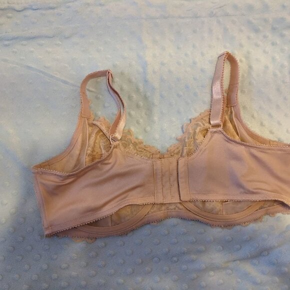 Deesse 42 DD bra lace tan nude natural color B025 - Picture 4 of 11